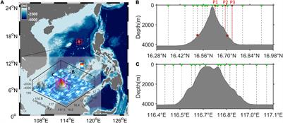 Circulation Driven by Multihump Turbulent Mixing Over a Seamount in the South China Sea